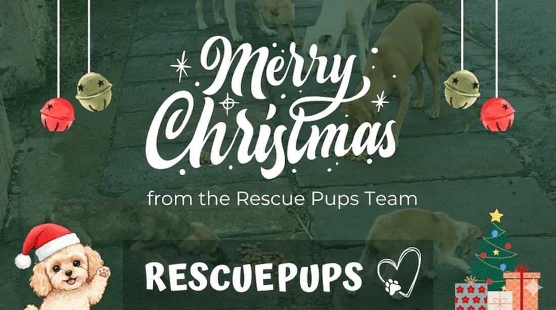 Merry Christmas from Rescue the Pups Team