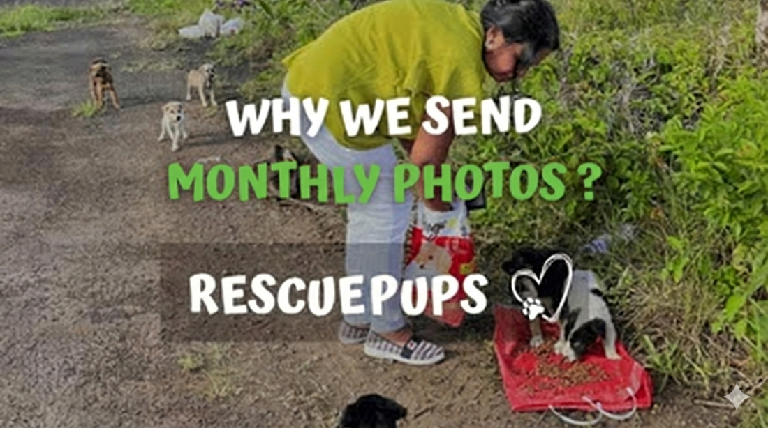 Why We Send Monthly Photos