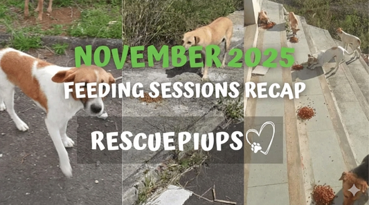 November 2025: A Month We'll Never Forget