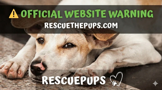 How to Spot Fake Rescue Pups Websites